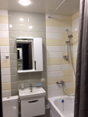 Apartment Vladimirskaya 154/2